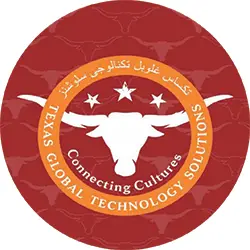 Texas Global Technology Solutions